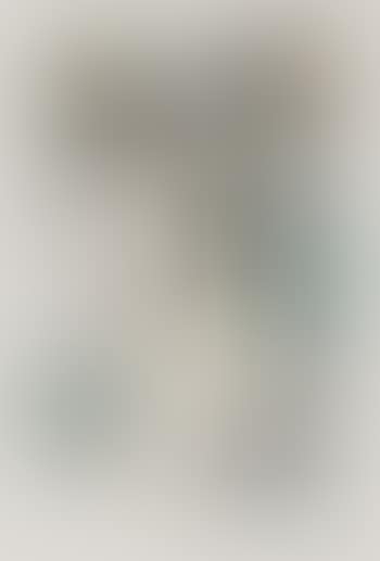 Le Nu (The Nude) (preview)