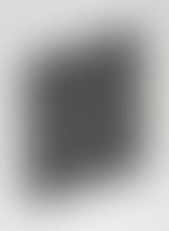 Untitled suite: one plate (preview)