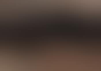 No.193 (preview)