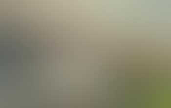 An der Ostsee (preview)