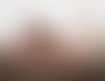 Marilyn Monroe (from 'The last sitting') (preview)