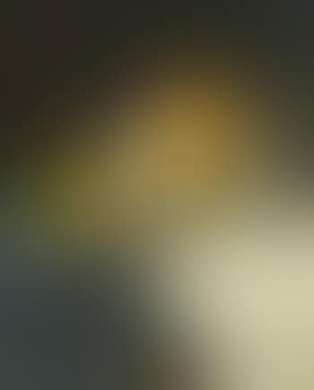 Still life with Melon (preview)