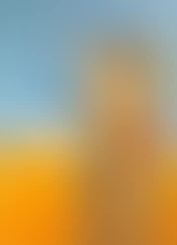 Composition (preview)