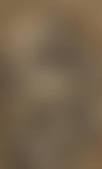 Santo penitente (preview)