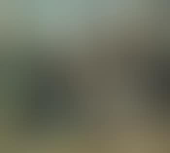 Elijah and Ahab fed by the raven, with the raging lions in the background (preview)