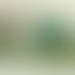Landscape with oak trees, Skejten, Lolland (preview)