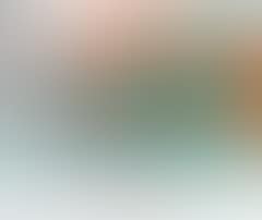 Figure composition (preview)