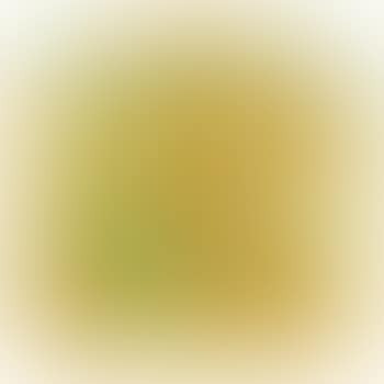 Birds egg like heaven (preview)