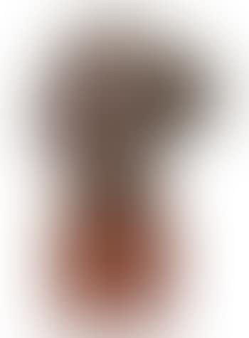 Singing Head (preview)