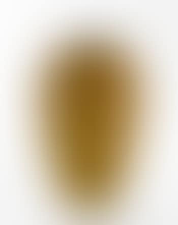 Vase (preview)
