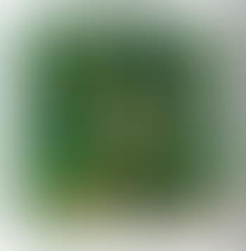 Zucca (preview)