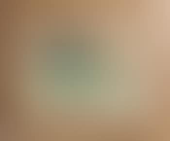 Still life (preview)