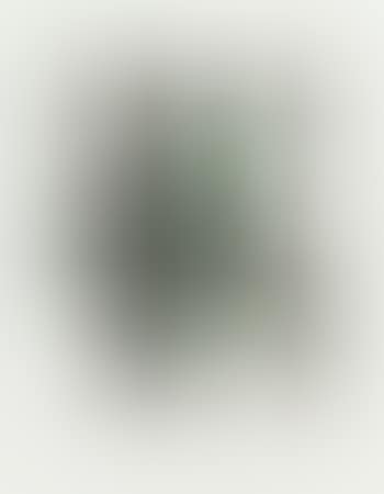 Ohne Titel (preview)