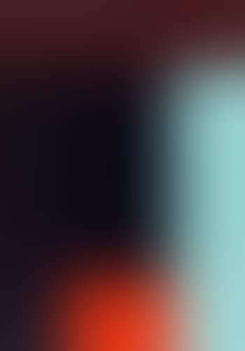 Porträt (preview)