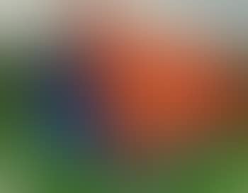 Ohne Titel (Zelt) (preview)
