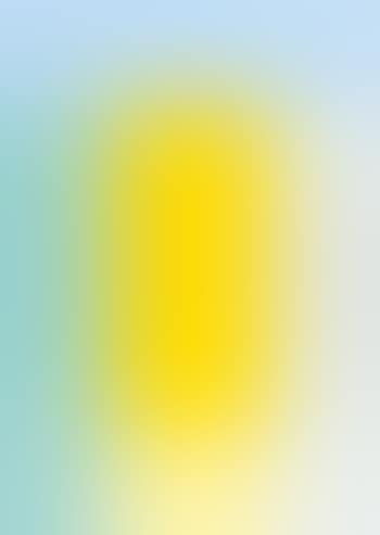 Porträt (preview)