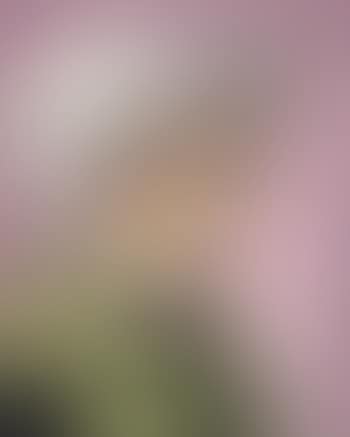 Femme au turban blanc II (preview)