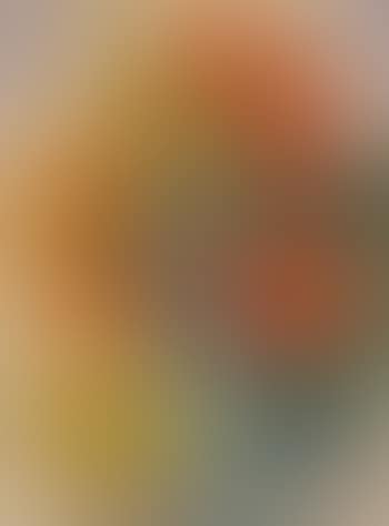 Roter und gelber Mohn (preview)