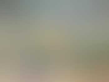 Paysage du Midi (preview)