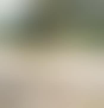 Vaches (preview)