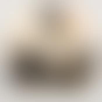 [Untitled] (preview)