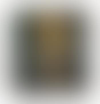 Head of William Feaver (preview)