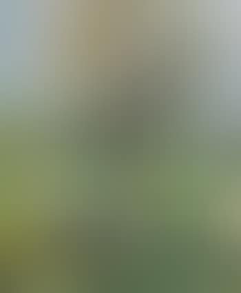 L'Aulne dans la prairie (preview)