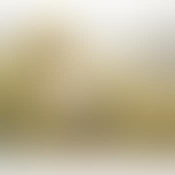 Cornfield in Summertime (preview)