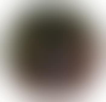 Visage (preview)
