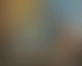 Natura Morta Con Pesci (Still Life with Fish) (preview)