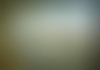 An extensive album of 56 Chinese export paintings (preview)