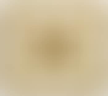 [Untitled] (preview)