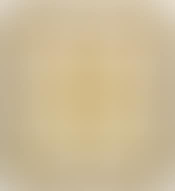 Portrait of a Young Woman (preview)