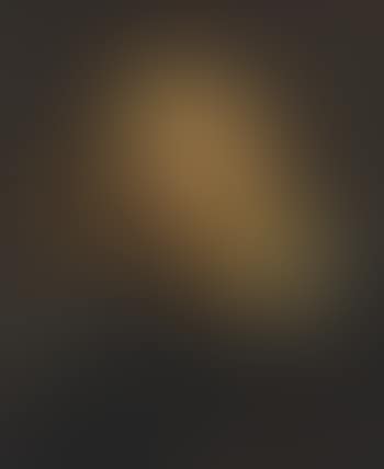 Head of a bearded man (preview)