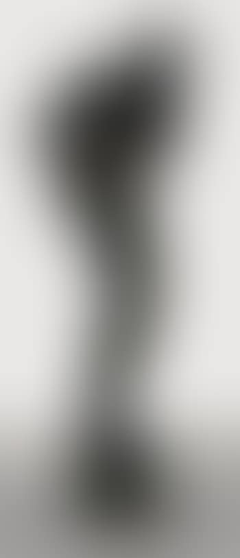 Small Hem 2 (preview)