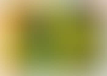 Untitled (19.4.84) (preview)