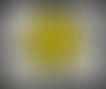 Piss City (preview)