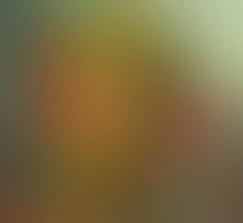 Prachtvolles herbstliches Blumenstilleben mit Sonnenblumen und Gladiolen (preview)