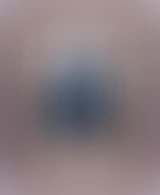 Zwei blaue Aras (preview)