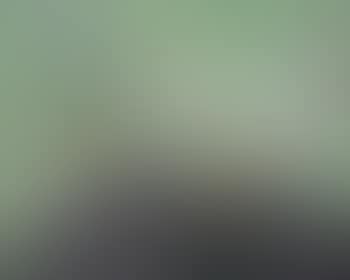 La nuit est liquide (preview)