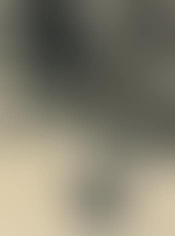 Composition (preview)