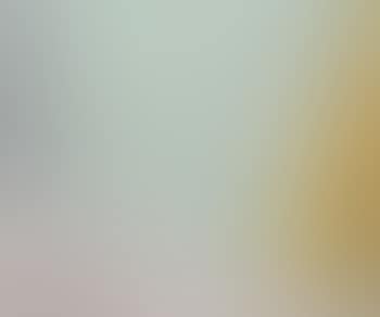 Paysage (preview)