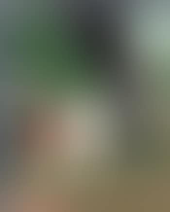 Paysage (Le Cannon) (preview)