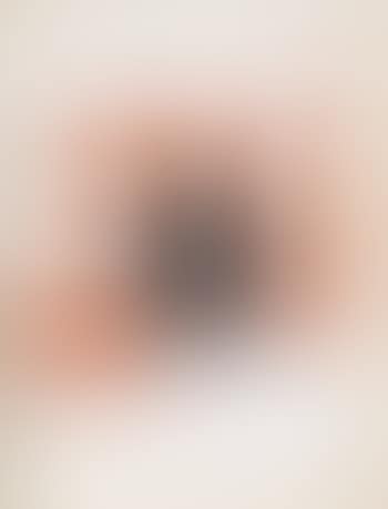 Museum journaal (preview)