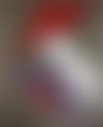 Dama con Sombrero (red) (preview)