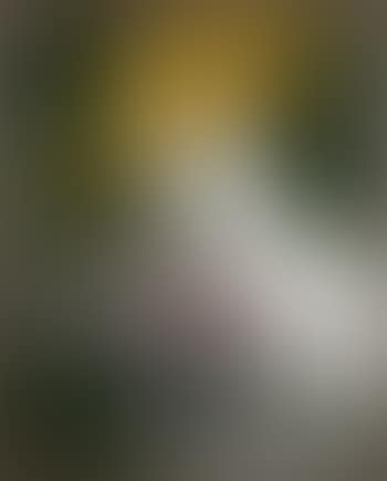 Dama con Sombrero (Yellow) (preview)