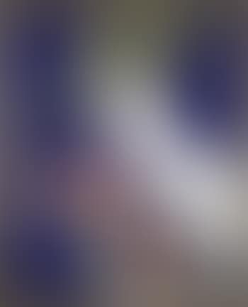 Dama con Sombrero (preview)
