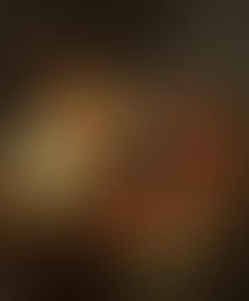 Schlafender Alter (preview)