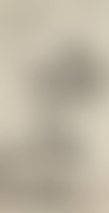 Paysage (preview)