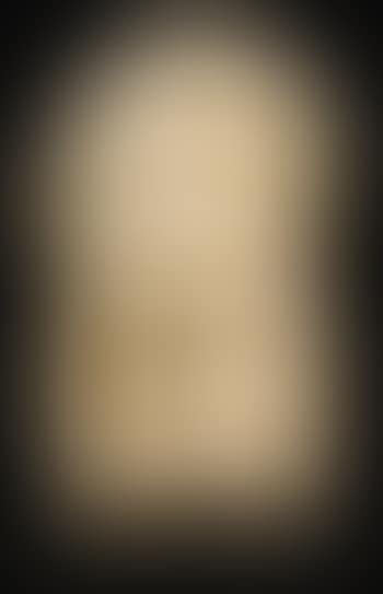 Head of A Young Man (preview)